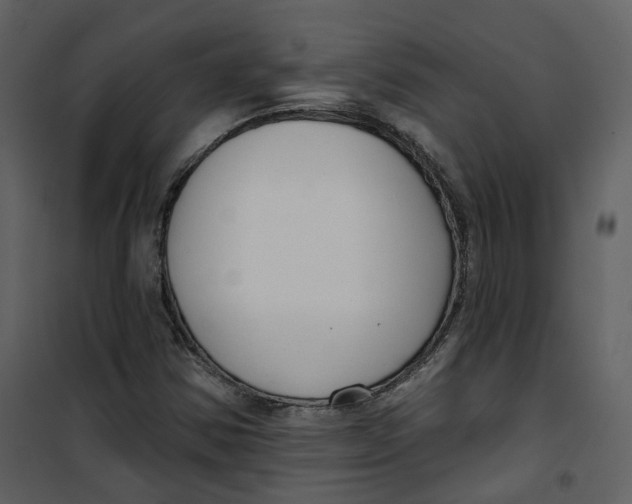 X0000100751354200807171401