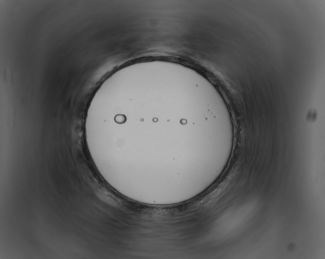 X0000100751355200807171401