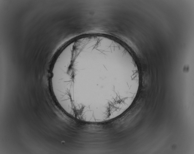 X0000100751356200807171401