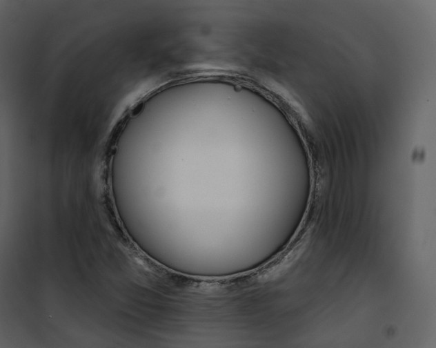 X0000100751357200807171401