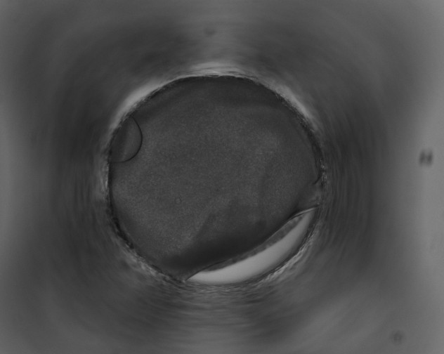 X0000100751358200807171401