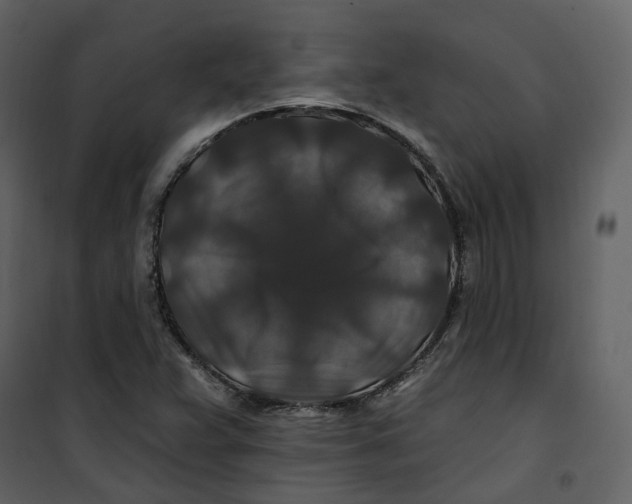 X0000100751359200807171401