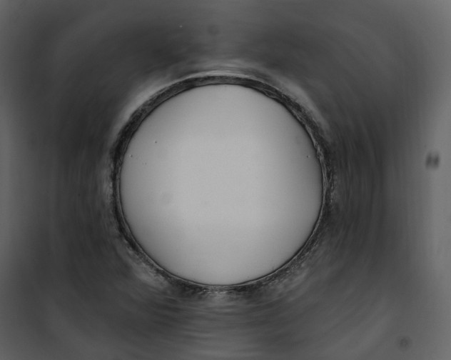 X0000100751360200807171401