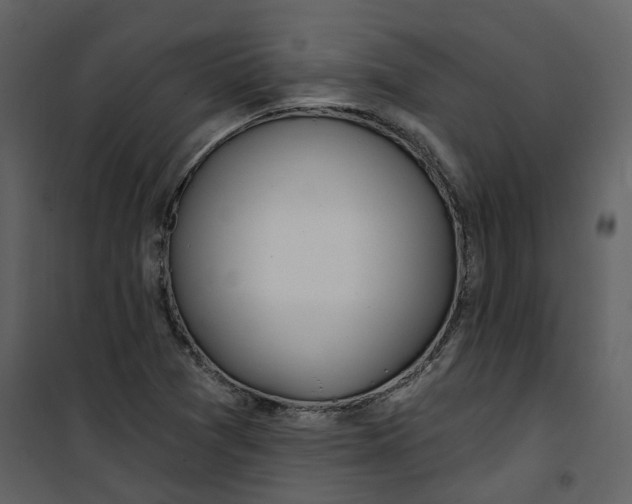 X0000100751361200807171401