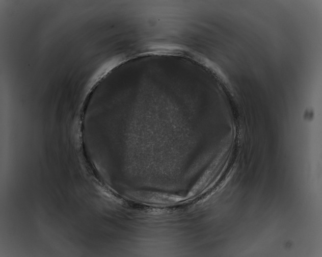 X0000100751362200807171401