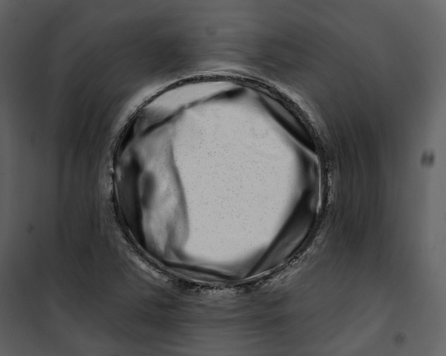 X0000100751363200807171401