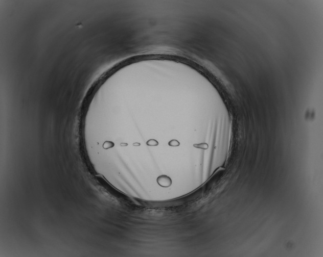 X0000100751364200807171401