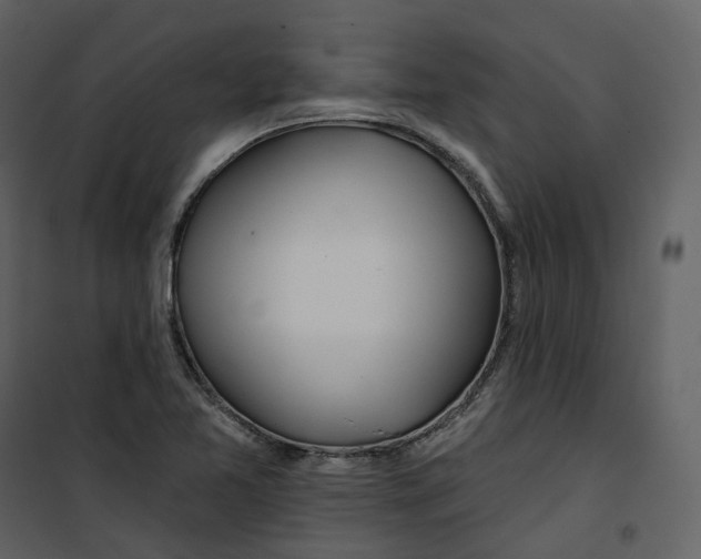 X0000100751365200807171401