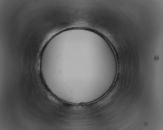 X0000100751366200807171401