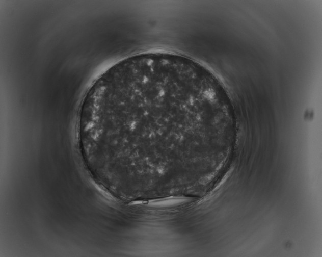 X0000100751367200807171401