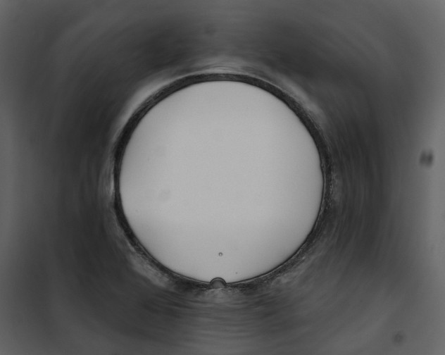 X0000100751368200807171401