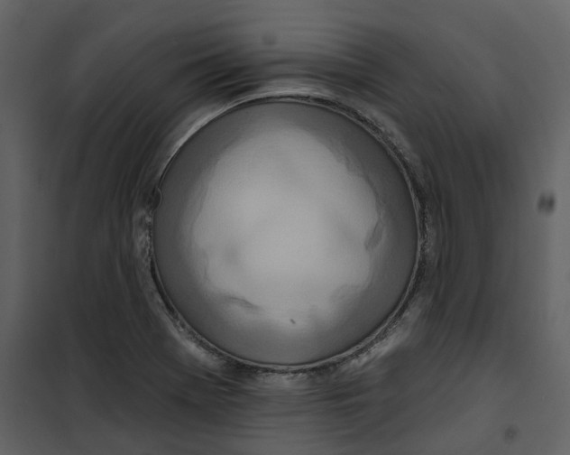 X0000100751369200807171401