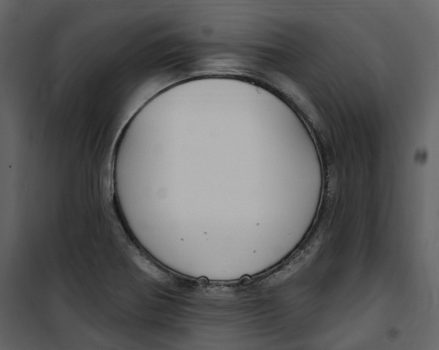 X0000100751370200807171401