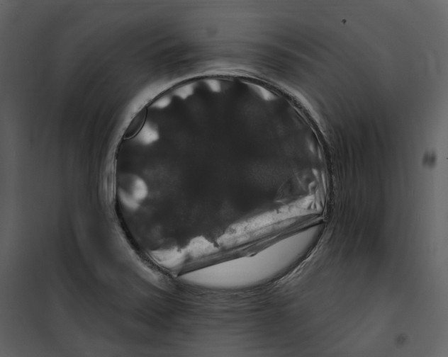 X0000100751371200807171401