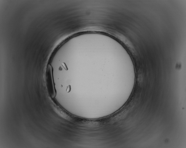 X0000100751372200807171401