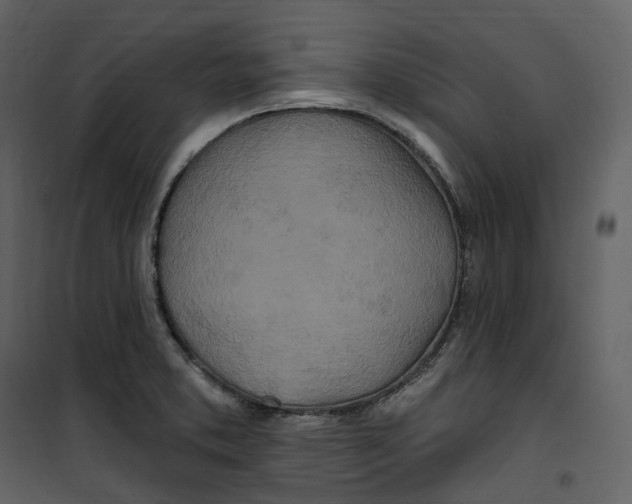 X0000100751373200807171401