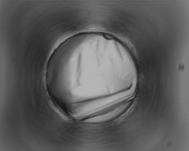 X0000100751374200807171401