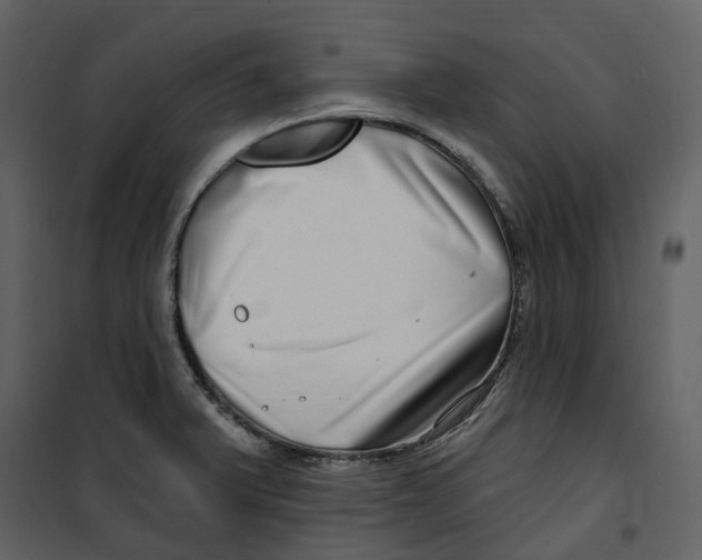 X0000100751375200807171401