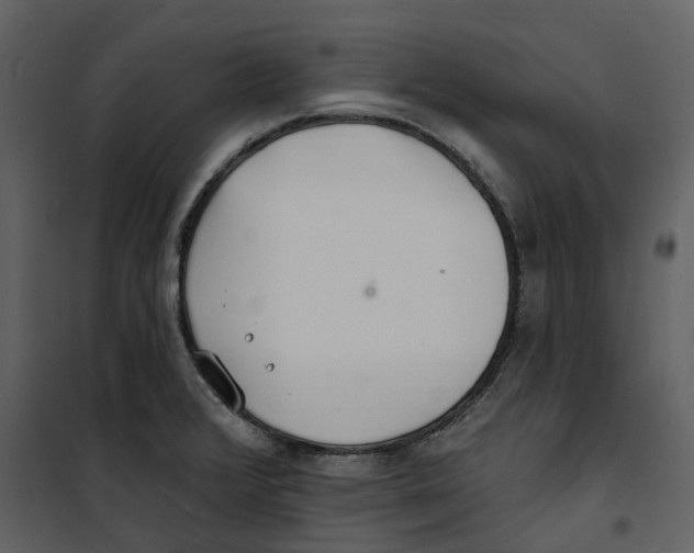 X0000100751376200807171401