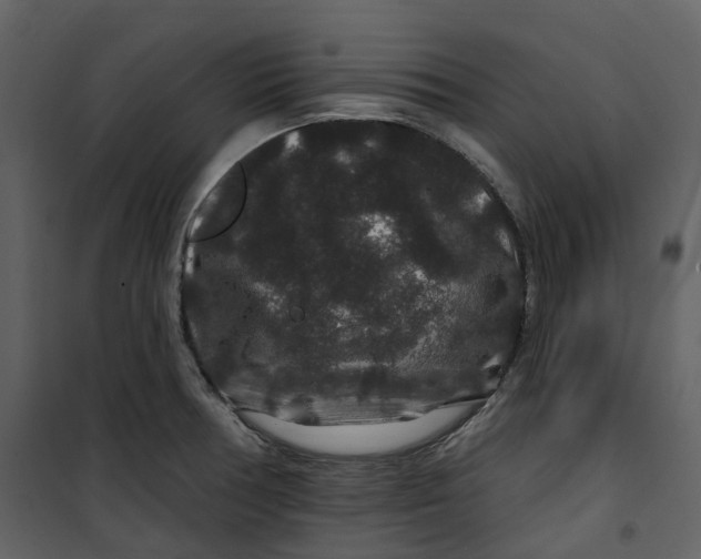 X0000100751378200807171401