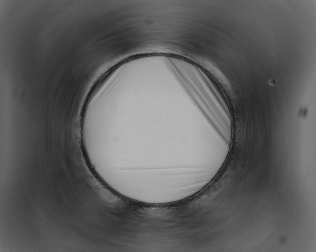 X0000100751380200807171401