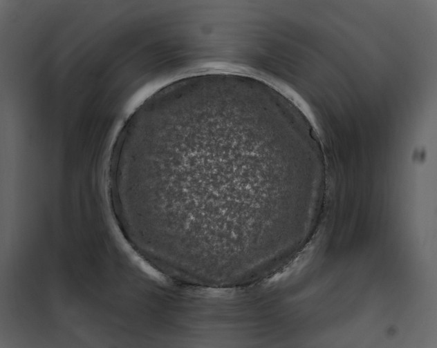 X0000100751381200807171401