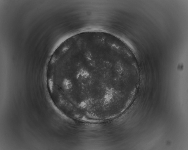 X0000100751382200807171401