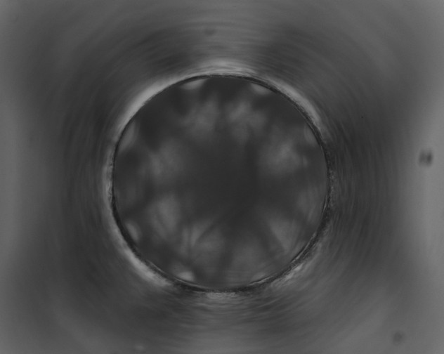 X0000100751383200807171401