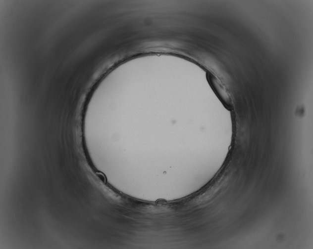 X0000100751384200807171401