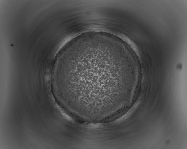 X0000100751385200807171401