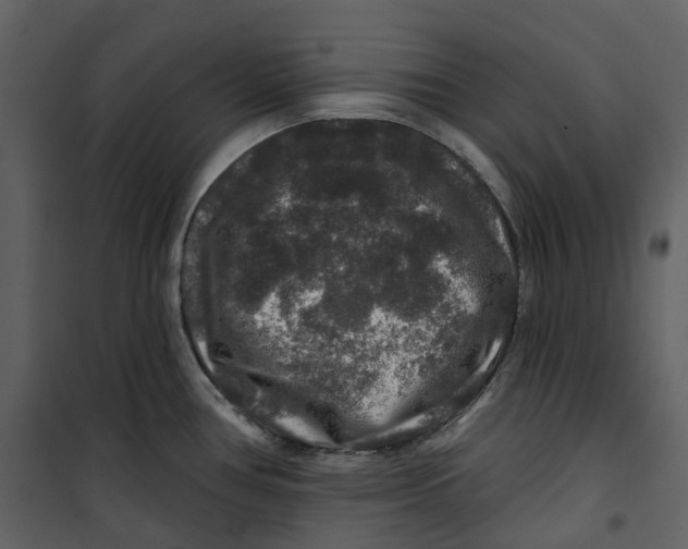 X0000100751386200807171401