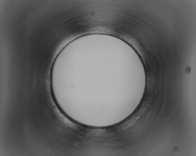 X0000100751387200807171401