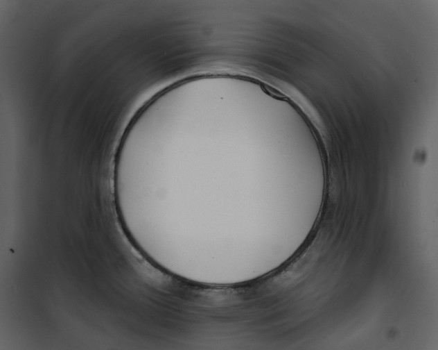 X0000100751388200807171401