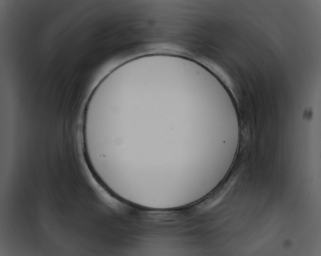 X0000100751391200807171401