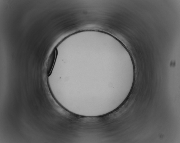 X0000100751392200807171401