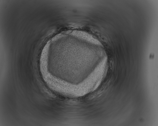 X0000100751393200807171400