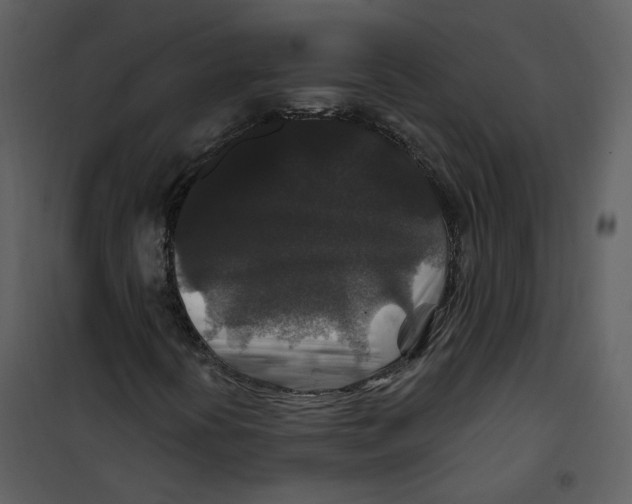 X0000100751394200807171400