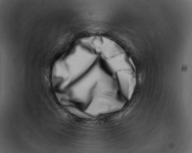 X0000100751396200807171400