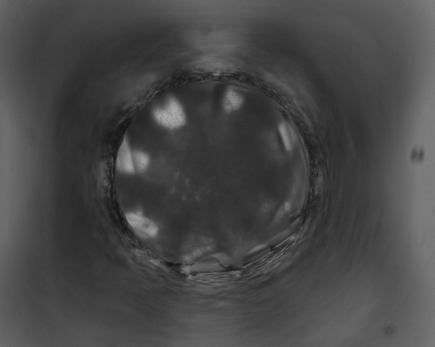 X0000100751397200807171400