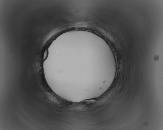 X0000100751400200807171400