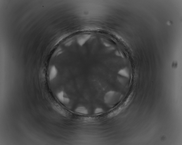 X0000100751401200807171400