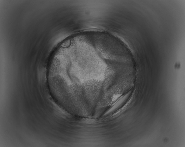 X0000100751402200807171400