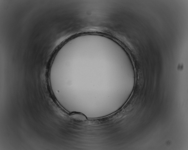 X0000100751404200807171400