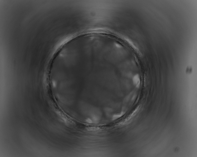 X0000100751405200807171400