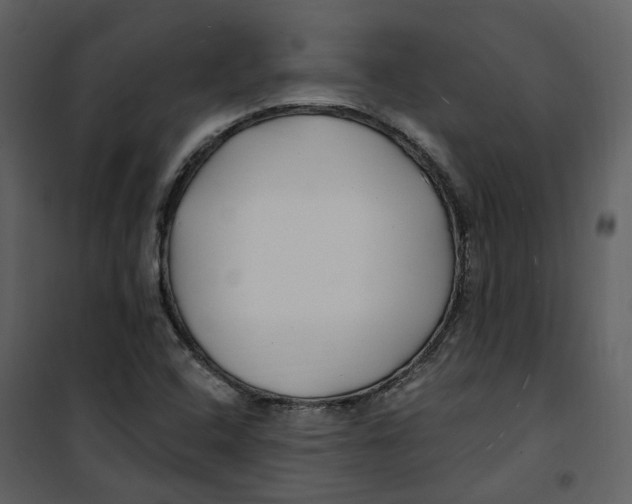 X0000100751408200807171400