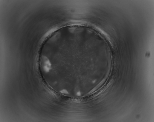 X0000100751411200807171400