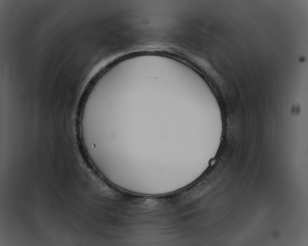 X0000100751412200807171400