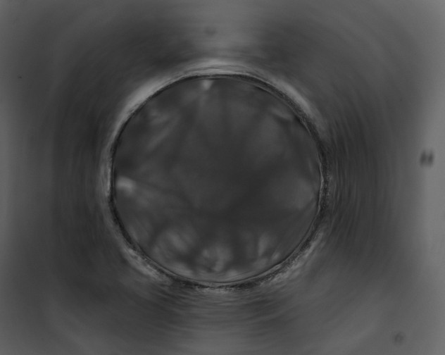 X0000100751413200807171400