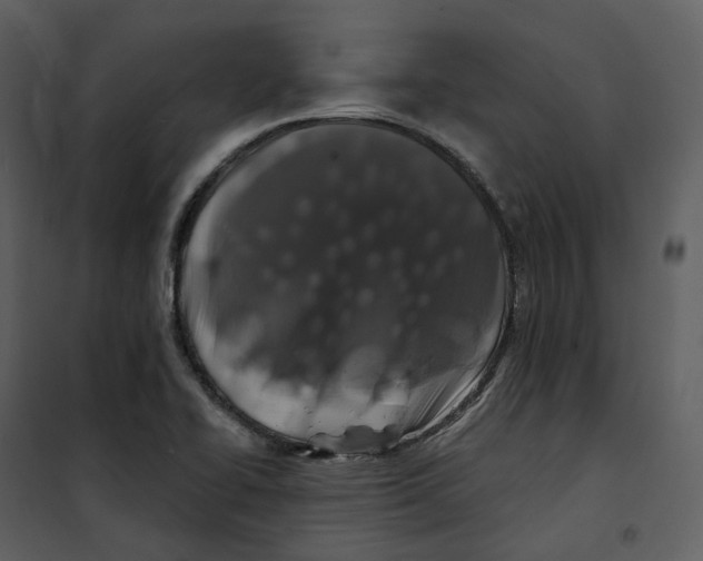 X0000100751414200807171400