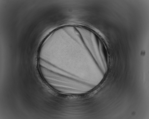 X0000100751415200807171400